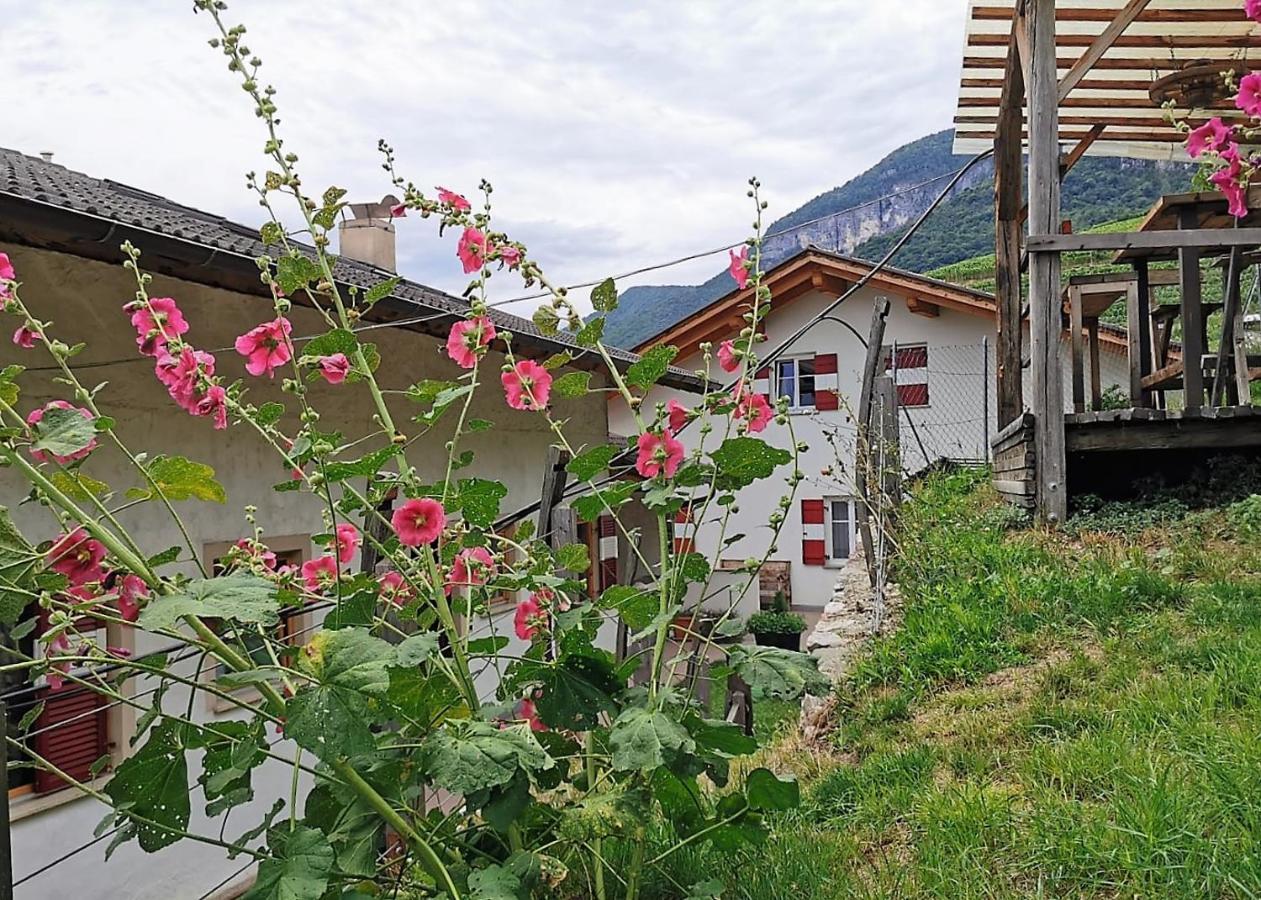 Voldersberghof Daire Cortaccia Dış mekan fotoğraf